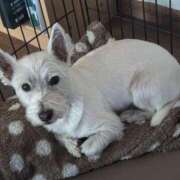 ヒメ日記 2025/03/03 07:56 投稿 まりか 甲府人妻隊