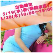 ヒメ日記 2025/03/07 08:40 投稿 新人熟女 たまき ハナミズキ