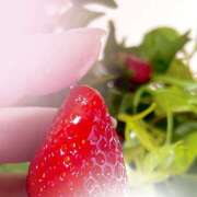 ヒメ日記 2025/04/16 16:46 投稿 新人熟女 たまき ハナミズキ