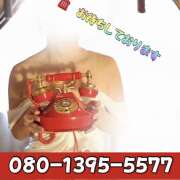 ヒメ日記 2025/05/25 02:16 投稿 新人熟女 たまき ハナミズキ