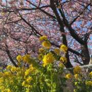 ヒメ日記 2025/03/04 10:14 投稿 羽田 熟女の風俗最終章 横浜本店