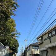 ヒメ日記 2025/03/13 11:15 投稿 羽田 熟女の風俗最終章 横浜本店