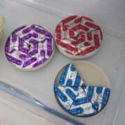 ヒメ日記 2025/02/24 08:25 投稿 あさひな 熟女の風俗最終章　越谷店