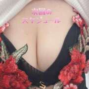 ヒメ日記 2025/10/08 21:29 投稿 なつこ セレブクエスト-koshigaya-