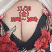 ヒメ日記 2025/11/26 20:47 投稿 なつこ セレブクエスト-koshigaya-