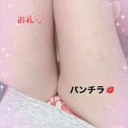 ヒメ日記 2026/02/15 20:40 投稿 なつこ セレブクエスト-koshigaya-