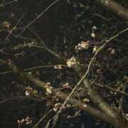 ヒメ日記 2026/03/24 09:16 投稿 なつこ セレブクエスト-koshigaya-