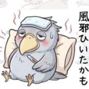 ヒメ日記 2026/08/19 08:33 投稿 なつこ セレブクエスト-koshigaya-