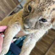 いろは 日程♡ 多恋人倶楽部（山口）