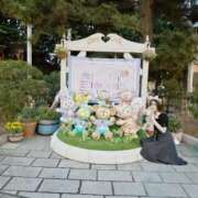 ヒメ日記 2025/06/19 06:15 投稿 モモハ(未経験) secretgirl大阪