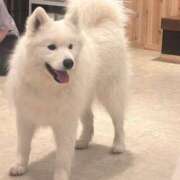 ヒメ日記 2025/06/13 05:55 投稿 みゆ 川崎ソープ　クリスタル京都南町