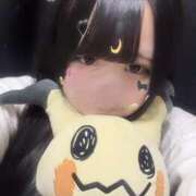 ヒメ日記 2025/02/08 12:49 投稿 つばき はちみつ