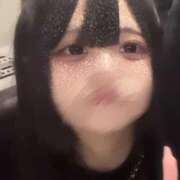 ヒメ日記 2025/03/14 13:06 投稿 つばき はちみつ