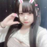 ヒメ日記 2025/04/13 14:39 投稿 つばき はちみつ