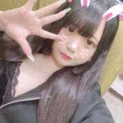 ヒメ日記 2025/06/11 15:18 投稿 つばき はちみつ