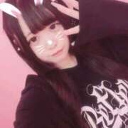 ヒメ日記 2025/06/14 14:57 投稿 つばき はちみつ