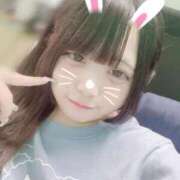 ヒメ日記 2025/07/07 14:18 投稿 つばき はちみつ