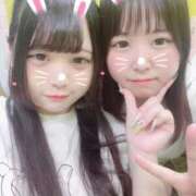 ヒメ日記 2025/07/19 14:39 投稿 つばき はちみつ