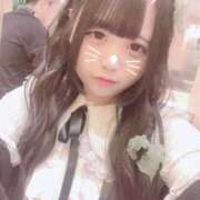 ヒメ日記 2025/07/31 13:59 投稿 つばき はちみつ