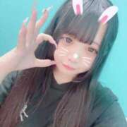 ヒメ日記 2025/09/30 17:48 投稿 つばき はちみつ