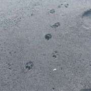 ヒメ日記 2025/11/22 08:00 投稿 みつ 渋谷じゃっくす