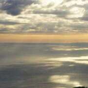 ヒメ日記 2025/11/24 08:00 投稿 みつ 渋谷じゃっくす