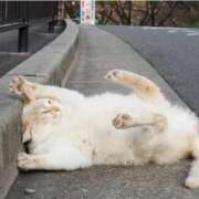 ヒメ日記 2025/09/28 10:42 投稿 まひろ 完熟ばなな千葉店