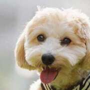 ヒメ日記 2025/10/11 19:22 投稿 まひろ 完熟ばなな千葉店