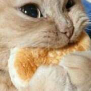 まひろ 年相応 完熟ばなな千葉店