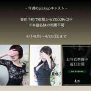 ヒメ日記 2025/04/14 12:23 投稿 月城　なな マダム美林　札幌店