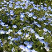 ヒメ日記 2026/04/12 17:59 投稿 まり 完熟ばなな八王子