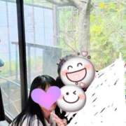 ヒメ日記 2026/04/15 17:19 投稿 まり 完熟ばなな八王子