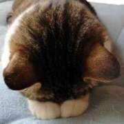 ヒメ日記 2025/07/15 21:07 投稿 にいな Sナース女学園