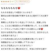 ヒメ日記 2025/07/25 08:55 投稿 もも いざ候 別館