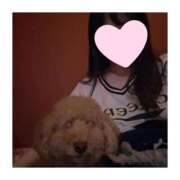 ヒメ日記 2025/08/21 17:25 投稿 もも いざ候 別館