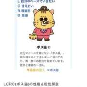 もも ボス猫🐈 いざ候 別館