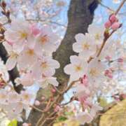 ヒメ日記 2025/03/25 23:51 投稿 ゆん 大奥 梅田店