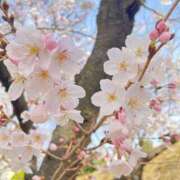 ヒメ日記 2025/03/26 00:01 投稿 ゆん 大奥 梅田店