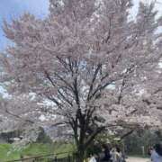 ヒメ日記 2025/04/11 02:23 投稿 なぎ 錦糸町ミセスアロマ（ユメオト）