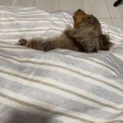 ヒメ日記 2025/05/28 03:13 投稿 なぎ 錦糸町ミセスアロマ（ユメオト）