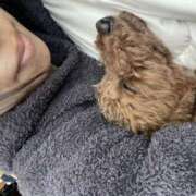 なぎ 2026年もよろしくお願いします🙏 錦糸町ミセスアロマ（ユメオト）