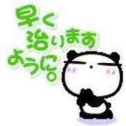 ヒメ日記 2025/04/25 17:57 投稿 ひかる イエスグループ熊本 TSUBAKI(ツバキ)