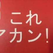 ヒメ日記 2025/04/30 21:20 投稿 ひかる イエスグループ熊本 TSUBAKI(ツバキ)