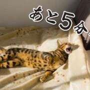 ヒメ日記 2026/06/12 12:43 投稿 飛鳥 多摩微熟女マッサージ