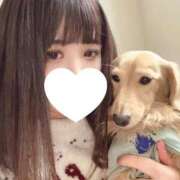 ヒメ日記 2025/02/05 20:10 投稿 ののか 奥様特急新潟店