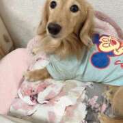 ヒメ日記 2025/02/08 17:50 投稿 ののか 奥様特急新潟店