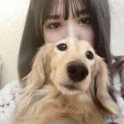 ヒメ日記 2025/02/12 16:50 投稿 ののか 奥様特急新潟店