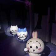 ヒメ日記 2025/11/21 21:59 投稿 かほ ナンバーゼロハチイチ