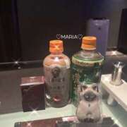 ヒメ日記 2025/02/09 02:51 投稿 マリア Evolution1st ミナミ谷九店