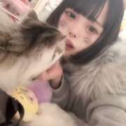 ヒメ日記 2026/07/14 18:18 投稿 こころ『全てが究極理想形‼️‼️最高到達点の最後のシ者』 錦糸町派遣型JKリフレガチあい
